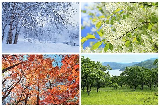 Japanese weather vocabulary - seasons